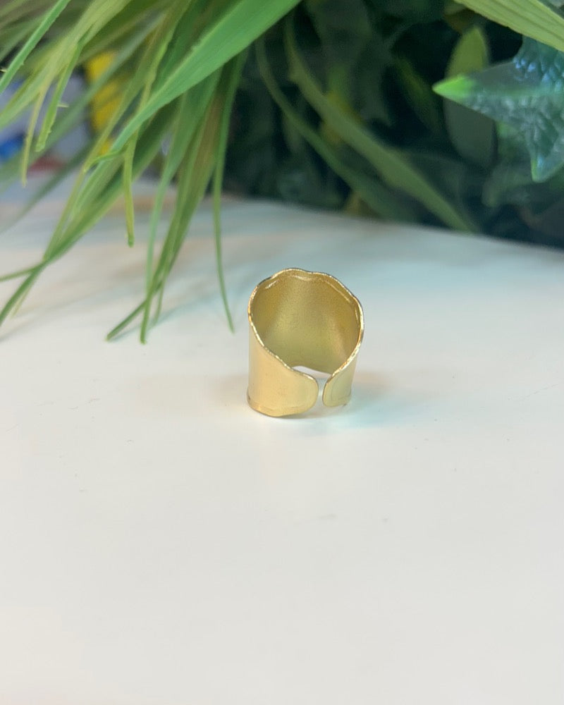 Anillo de Banda Ancha
